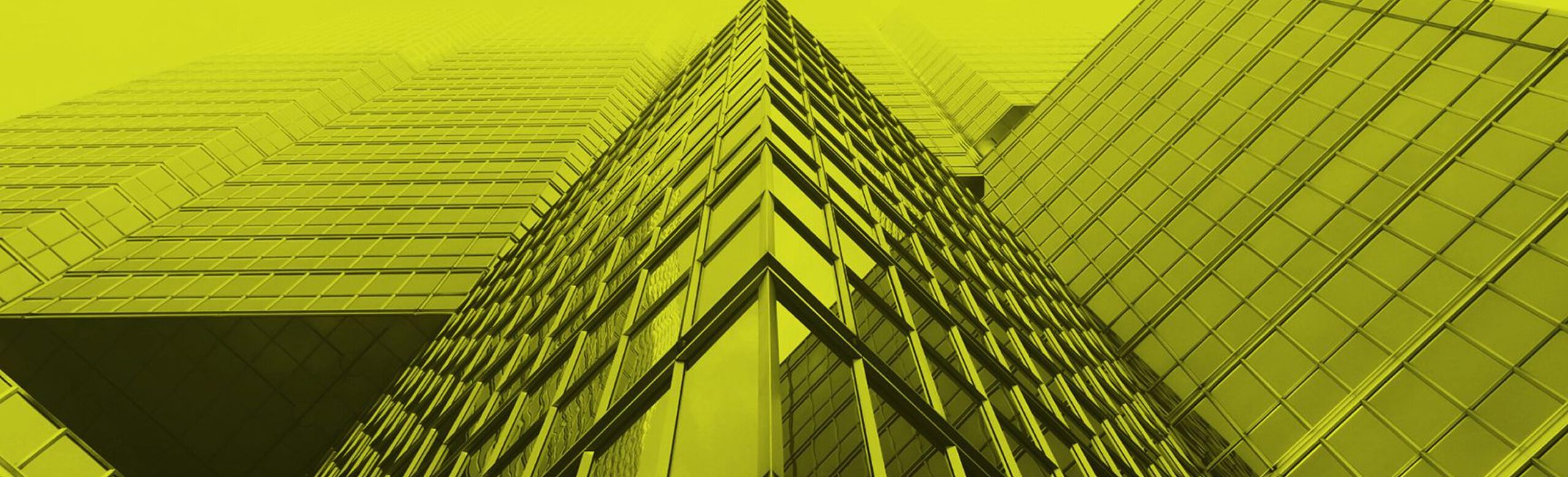 Costruire un’identità chiara e riconoscibile: il caso Kansa