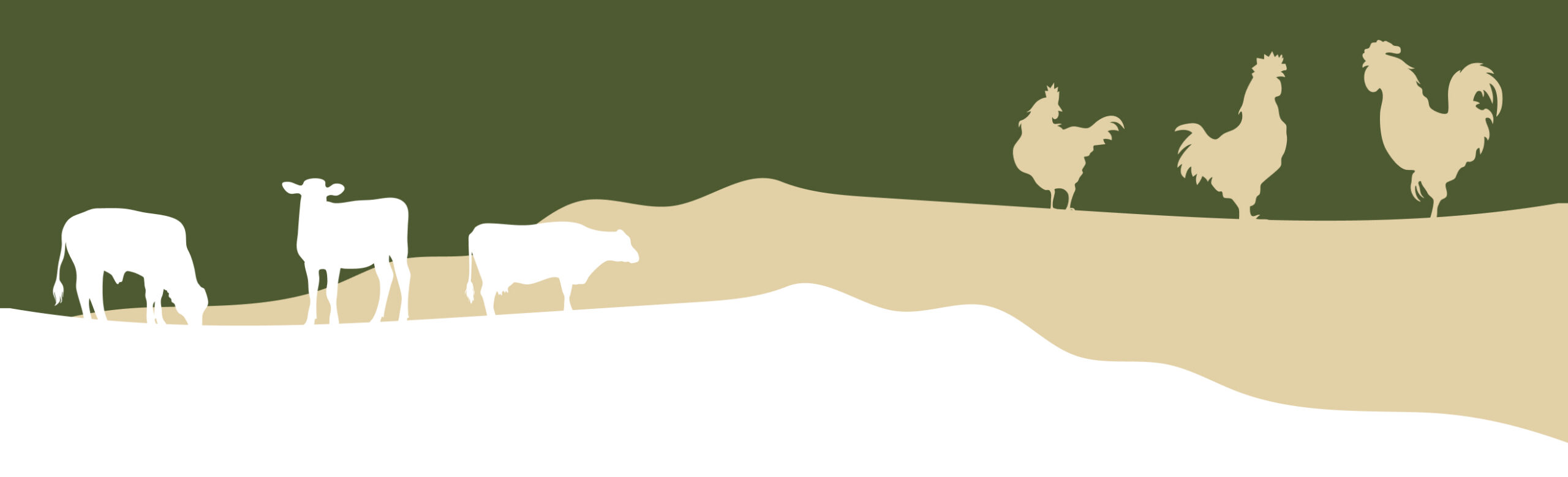 Rendere il digitale semplice e funzionale: il caso Fasson Food